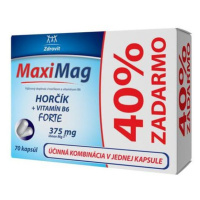 Zdrovit MaxiMag Horčík + Vitamín B6 forte 70 cps