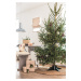 Zelený stojan na vianočný stromček Tree Nest Essential
