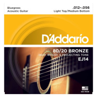 D'Addario EJ14