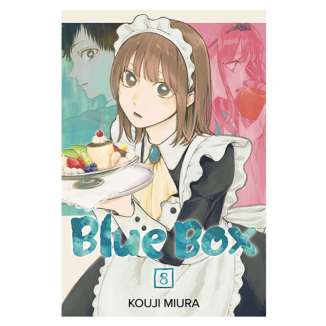 Viz Media Blue Box 8