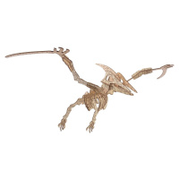 Dřevěné 3D puzzle Pterosaur