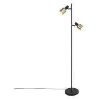 Dizajnová stojaca lampa čierna so zlatým 2-svetlom - Stijn