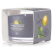 YANKEE CANDLE Black Tea & Lemon Sampler 37 g