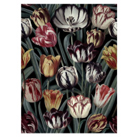 MINDTHEGAP Tulipa Dark - tapeta