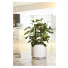 Valcový samozavlažovací kvetináč STEEL PLUS, viac variantov - Hobby Flower Farba: bílá, Rozměry: