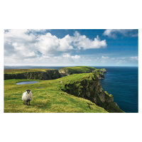 Komar Vliesová fototapeta Green Ireland 450 x 280 cm