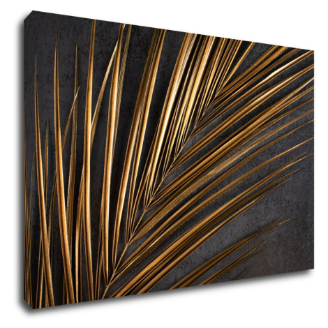 Impresi Obraz Zlatý detail palma - 90 x 60 cm