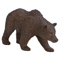 Mojo Medveď grizzly