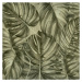 VLADILA  Sepia Philodendron - tapeta