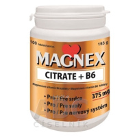 Vitabalans MAGNEX CITRATE + B6