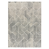 Tmavosivý koberec Universal Sensation, 160 x 230 cm