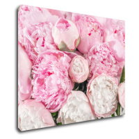 Impresi Obraz Ružové pivónie - 90 x 70 cm