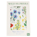 Obrus z papiera 120x180 cm Wild Flowers – Rex London