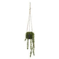 Umelá rastlina (výška 37 cm) Senecio – Casa Selección