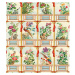 MINDTHEGAP Flowering Wall - tapeta