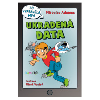 Ukradená data, Adamec Miroslav