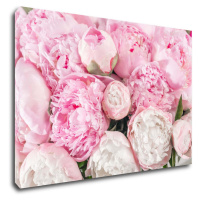 Impresi Obraz Ružové pivónie - 60 x 40 cm