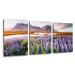 Impresi Obraz Horská krajina s kvety - 150 x 70 cm (3 dielny)