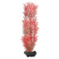 Dekorácia Tetra Rastlina Foxtail Red M 23cm