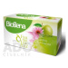 Biogena Fantastic Tea Jablko & Echinacea