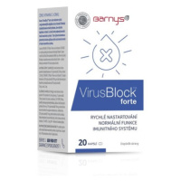 BARNY´S VirusBlock forte 20 tabliet