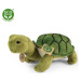 Plyšová korytnačka Agáta zelená 25 cm ECO-FRIENDLY