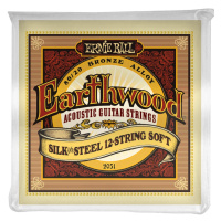 Ernie Ball 2051 Earthwood Silk & Steel 12-String Soft