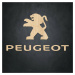 Drevený nápis a logo - Peugeot