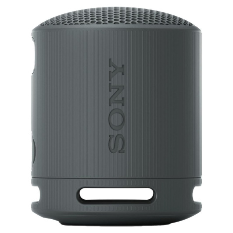 Sony SRS XB100 Black