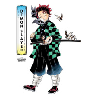 Viz Media Art of Demon Slayer: Kimetsu no Yaiba