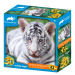 3D puzzle - Biely tiger 63ks