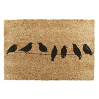 Rohožka z kokosového vlákna 60x90 cm Birds On a Wire – Artsy Doormats