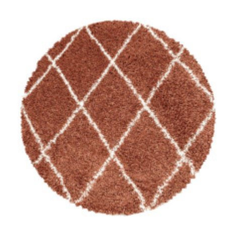 Kusový koberec Alvor Shaggy 3401 terra kruh Rozmery koberca: 200x200 kruh