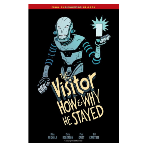 Dark Horse Visitor: How and Why He Stayed