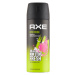 AXE Epic Fresh pánský deodorant sprej 150 ml