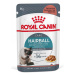 Royal Canin HAIRBALL CARE kapsičky v šťave pre mačky 12 x 85g