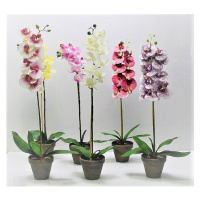MAKRO - Orchidea umelá 63cm rôzne druhy