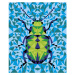 Janod Atelier Sada Maxi Maľovanie s číslami Hmyz