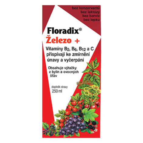 SALUS Floradix železo+ sirup 250 ml