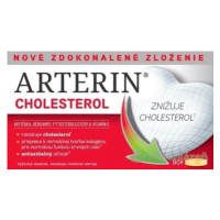 Arterin Cholesterol 90 ks