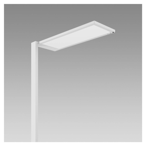Regent Lighting Lightpad, senzor 1fl pravý biely