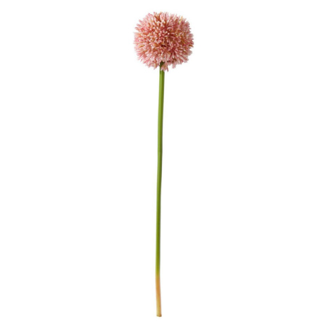 Umelý Kvet Allium I -Paz Möbelix