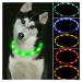 Reedog Easy Light USB nabíjací svietiaci obojok pre psy a mačky - žltá