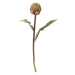 Umelá kvetina (výška 54 cm) Protea – Bloomingville