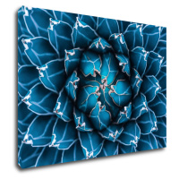 Impresi Obraz Modrý kvet - 70 x 50 cm