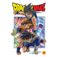 Viz Media Dragon Ball Super 20