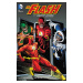 DC Comics Flash 1 (By Geoff Johns)