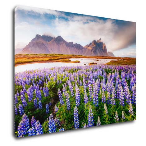 Impresi Obraz Horská krajina s kvety - 70 x 50 cm
