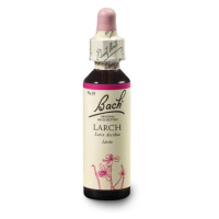 ORIGINAL BACH® Larch 20 ml