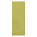 Svetlo zelený kusový koberec Fancy 103009 Grün Rozmery koberca: 80x300